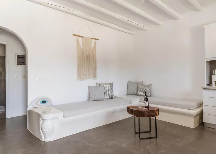 アパートホテル Ow Andros 2,private Whirlpool Kato Fellos